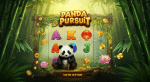Panda Pursuit